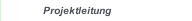 Projektleitung
