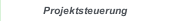Projektsteuerung