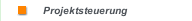 Projektsteuerung